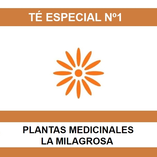 Te Especial Nº01 – La Milagrosa