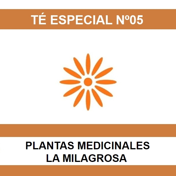 Te Especial Nº05 – La Milagrosa